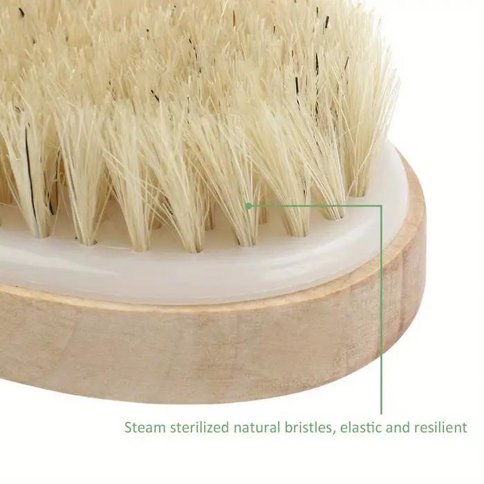 Brosse de douche à poils naturels | Exfoliant doux et renouvellement de la peau | Masseur de spa à domicile | Parfait