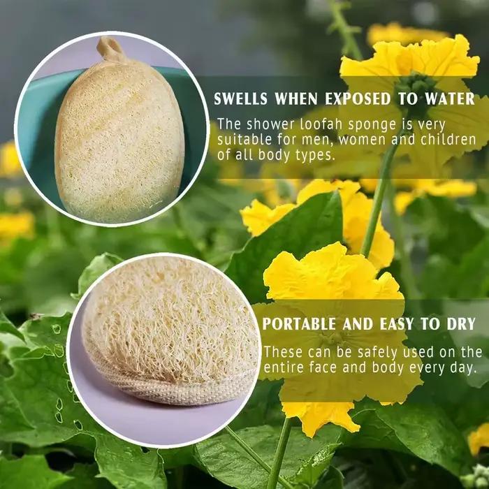 6 pièces/3 pièces/1 pièce corps exfoliant luffa
