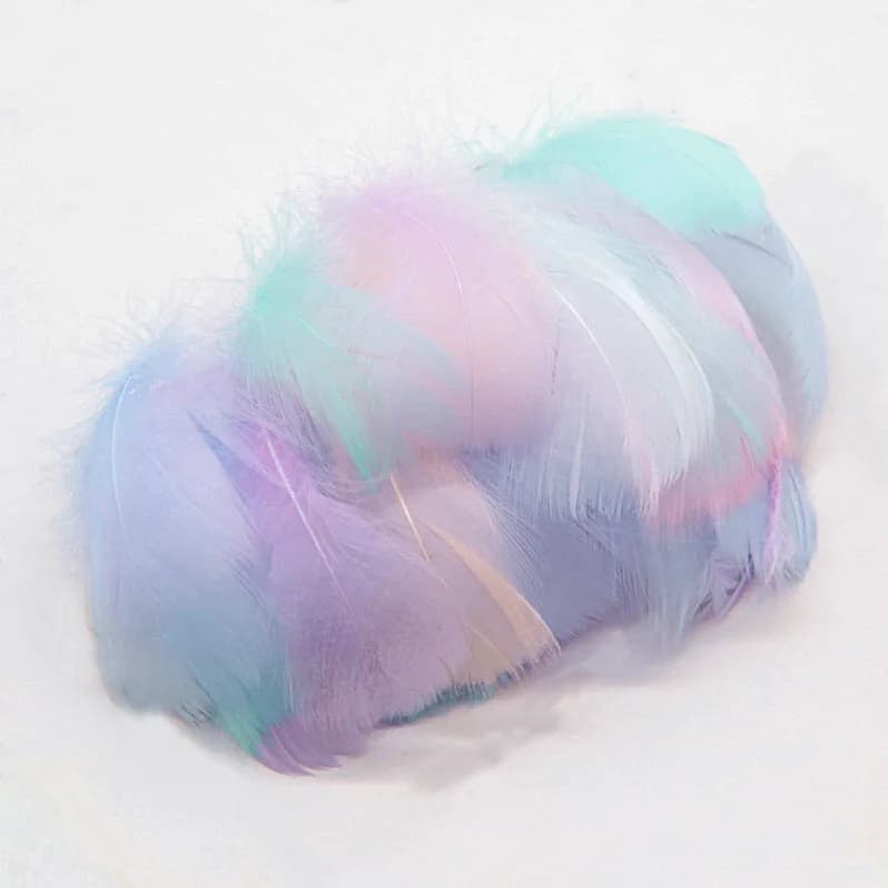 Plumes d'oie naturelles 4-15cm, Plume colorée en plumes de cygne pour la décoration de la maison, ar