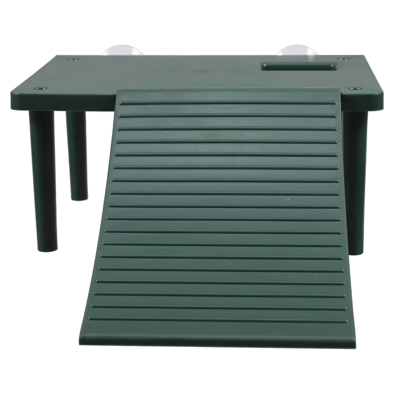 Plate-forme de se prélasser pour tortues, rampe pour Reptile, Aquarium, île flottante, décoration de