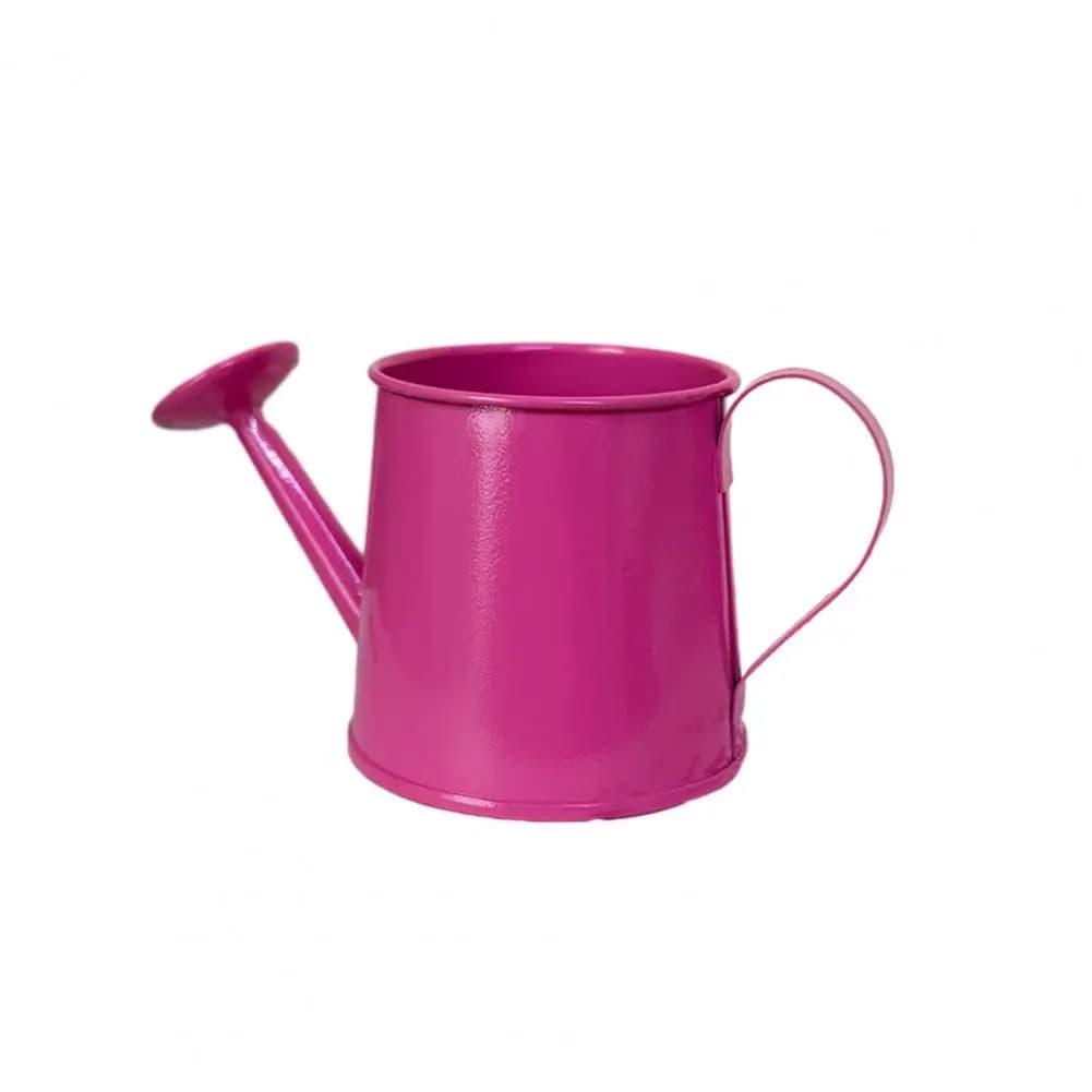 Mini arrosoir en métal vintage avec long bec, petit arrosoir pour plantes d'intérieur, décoration de