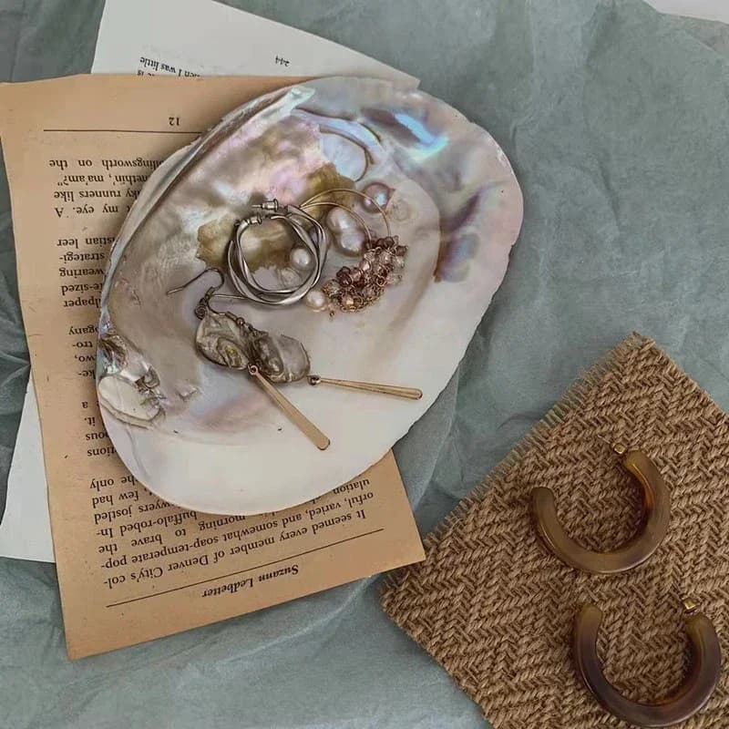 Grande plaque décorative en coquillage naturel pour le rangement de bijoux, la décoration de la mais