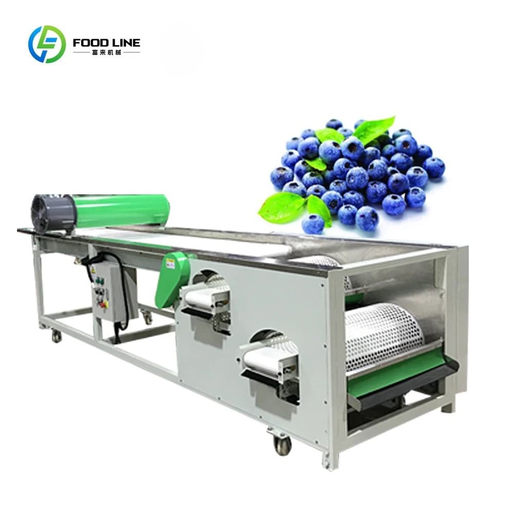 Trieuse automatique de bleuets fraîches bien conçue – Machines industrielles de tri et de calibrage