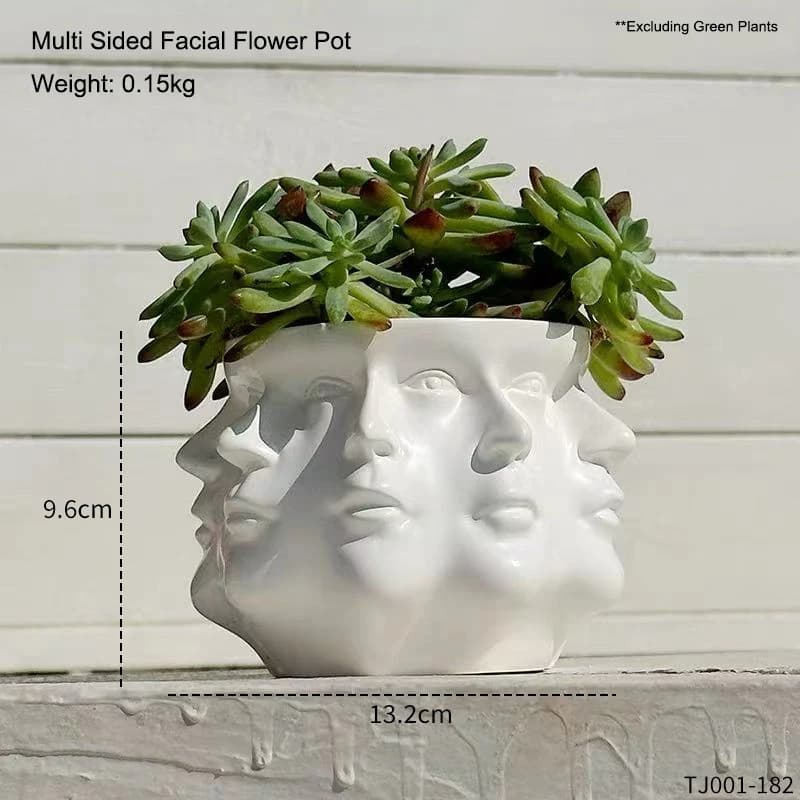 Pot de fleurs abstrait multi-facettes, créatif et unique, pour plantes succulentes, décoration intér