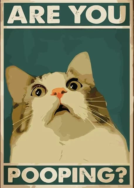 Chat mignon vous êtes faire caca, décoration murale pour toilettes, peintures, imprimés sur toile, a