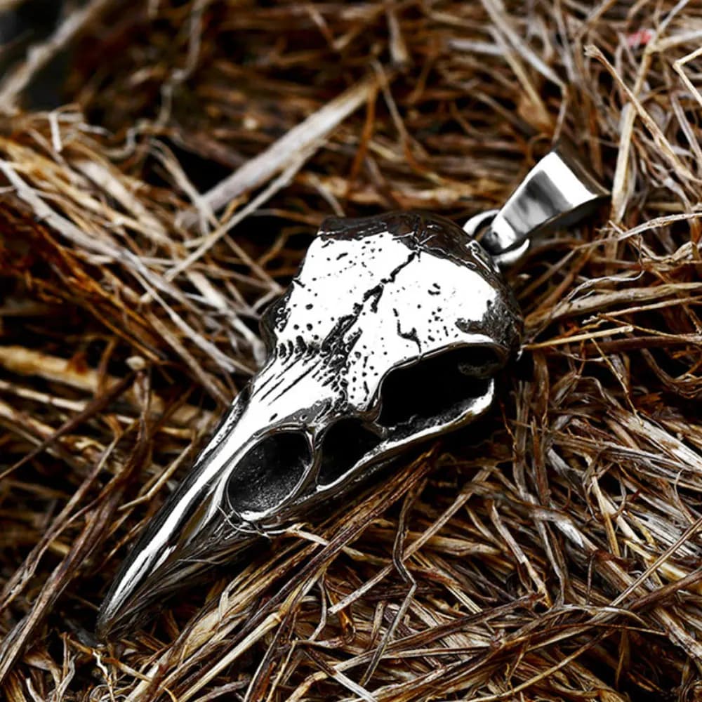 Collier nordique avec pendentif crâne de corbeau Odin, gothique, en acier inoxydable, pour hommes et