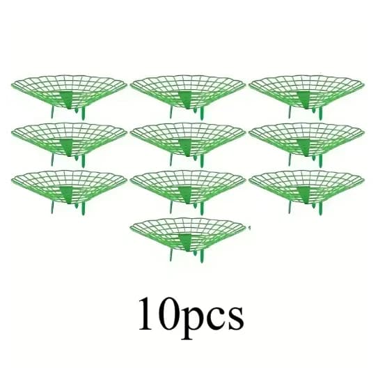 Supports pour plantes de fraises avec trois pieds robustes, offrant une protection contre la moisiss