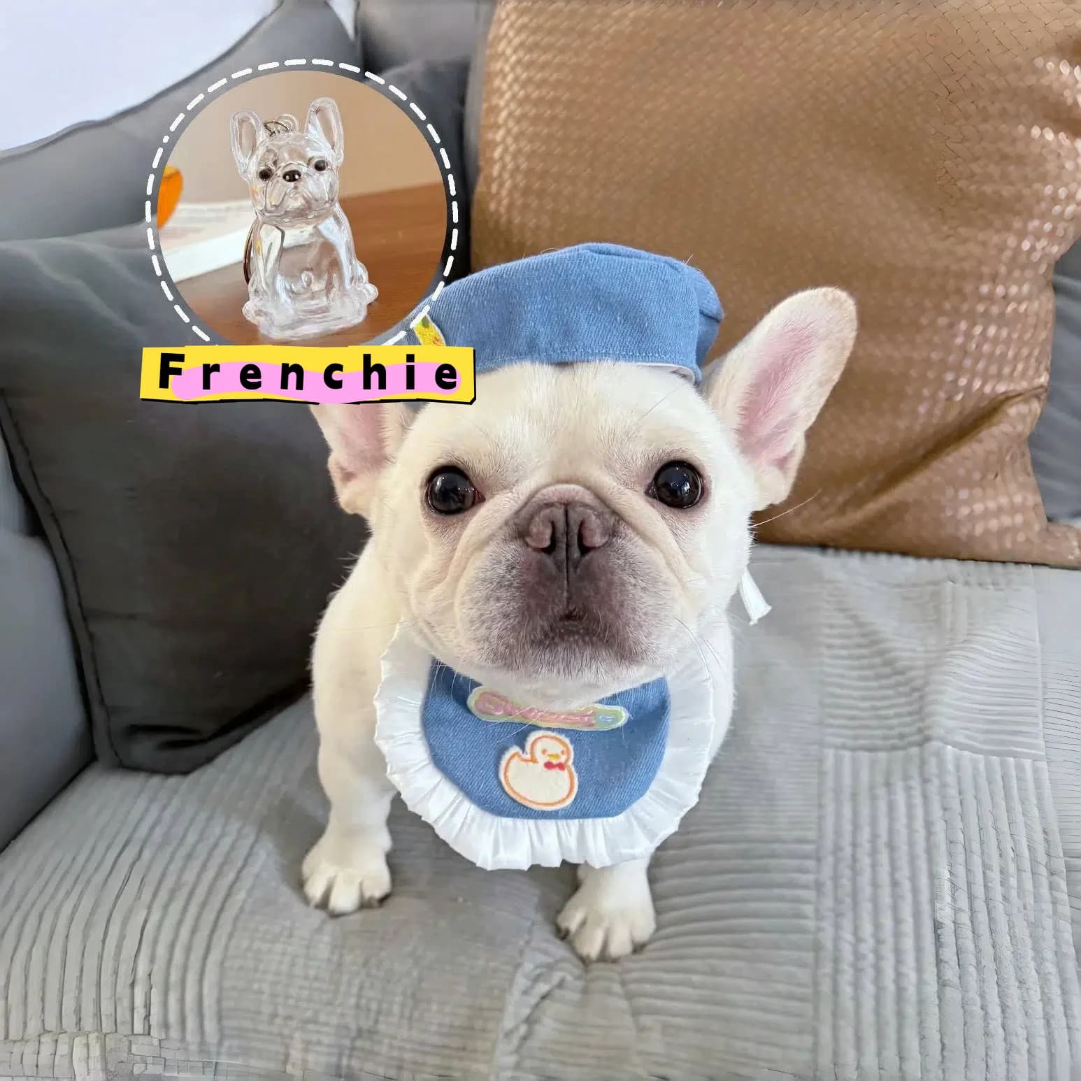 Porte-clés de rangement pour poils de chien, pendentif mignon pour sac, Couple, voiture, bijoux, Col