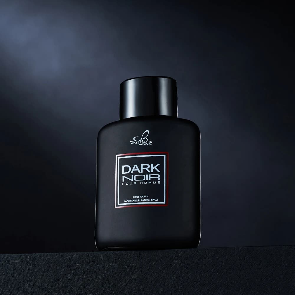 100ML 3.4FL.OZ Fougère Eau de Parfum Spray pour hommes, parfum longue durée, parfum frais pour les r