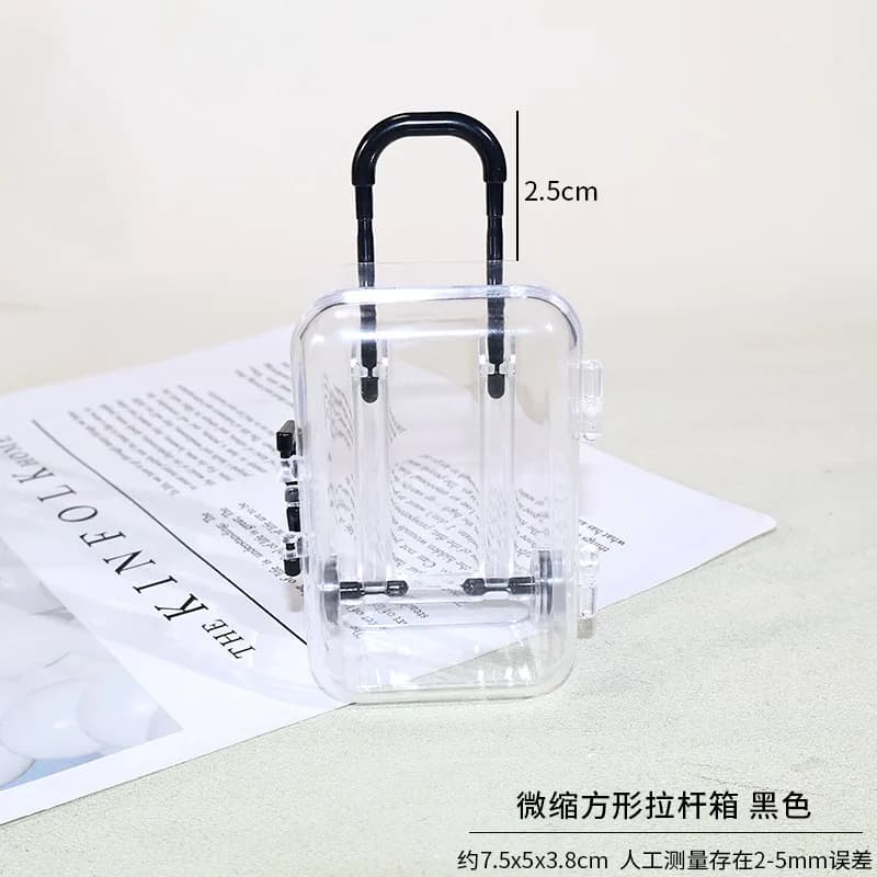 Mini valise avec poignée, boîte de rangement transparente pour petits accessoires, articles décorati