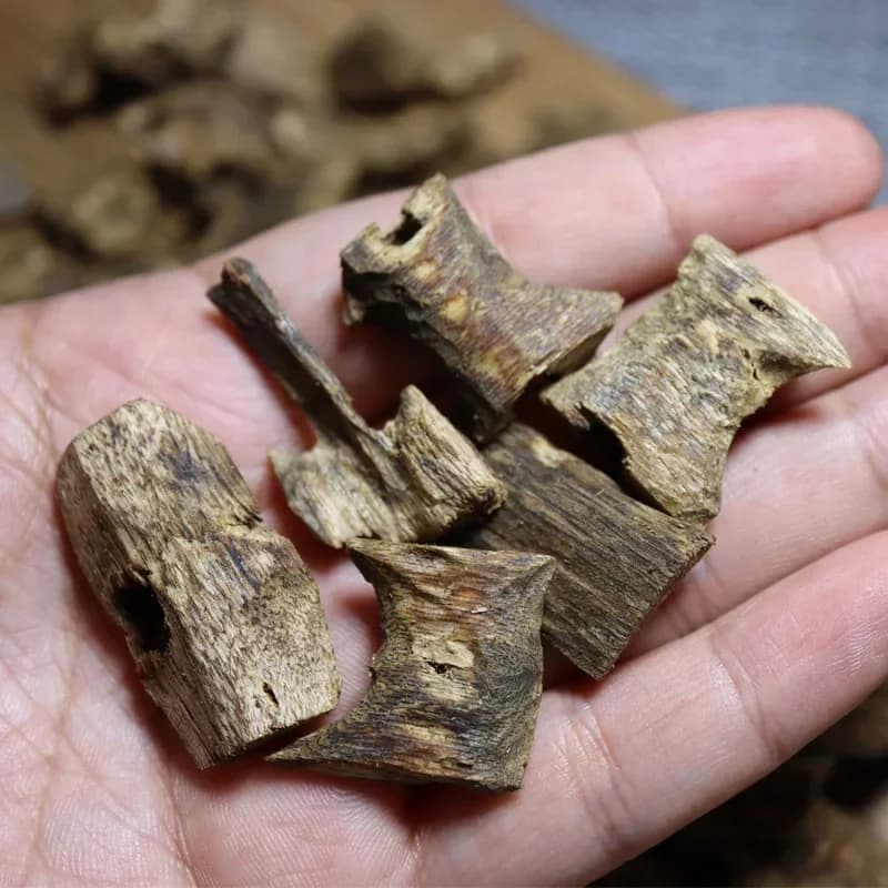 10g d'oud de haute qualité, oud pur naturel, résine complète, encens Kinam à combustion lente, Kinam
