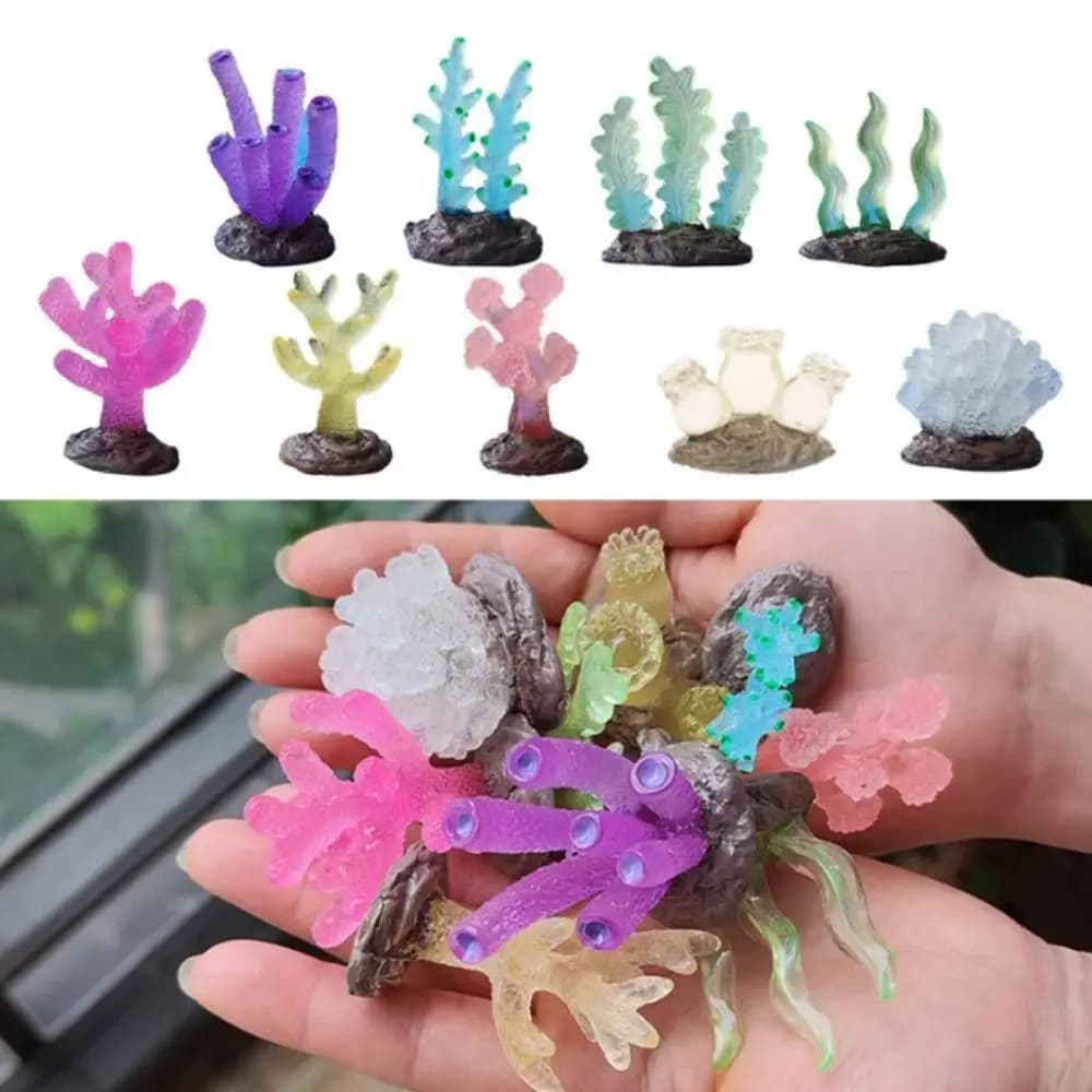 Récifs de corail lumineux décoratifs