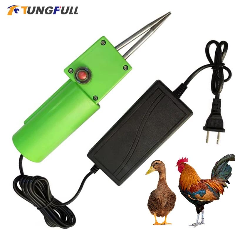 Épilation électrique pour épiler les poulets