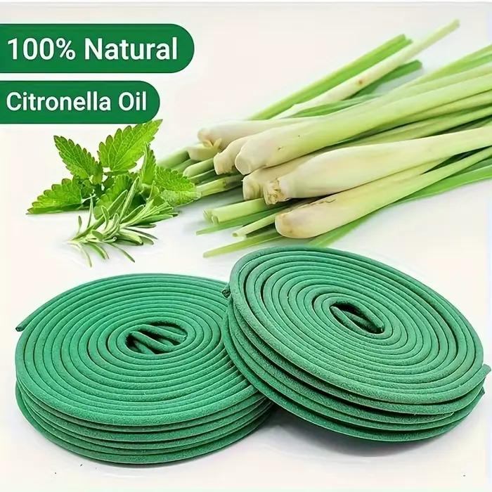 48 bougies parfumées avec support – Parfum naturel de citronnelle pour l'extérieur