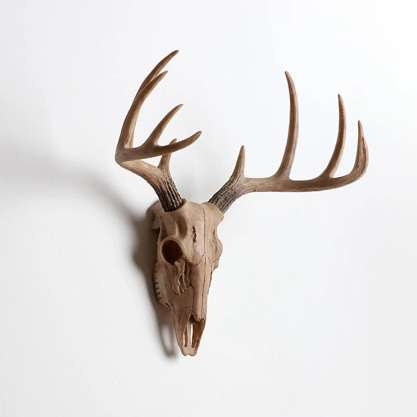 Têtes d'animaux décoration murale Figurine d'animal tête réaliste mouton tête de crâne décoration mu