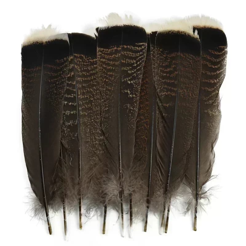 Plumes d'aigle naturelles, 10 pièces, 25-30cm, plumes de dinde pour artisanat, bijoux, accessoires a